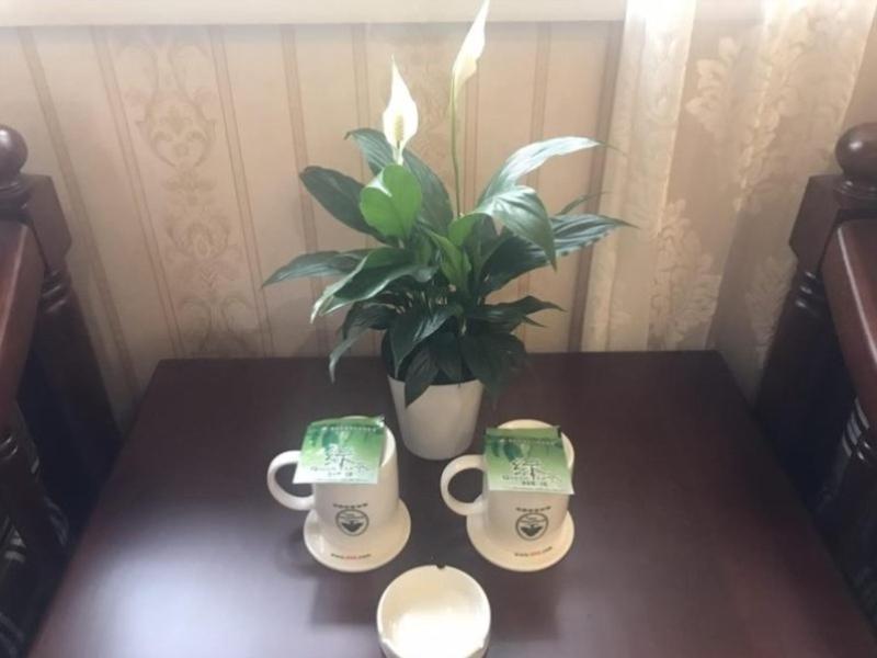 Greentree Inn Ziyang Lezhi Government Tianchi Town Express Hotel Zewnętrze zdjęcie